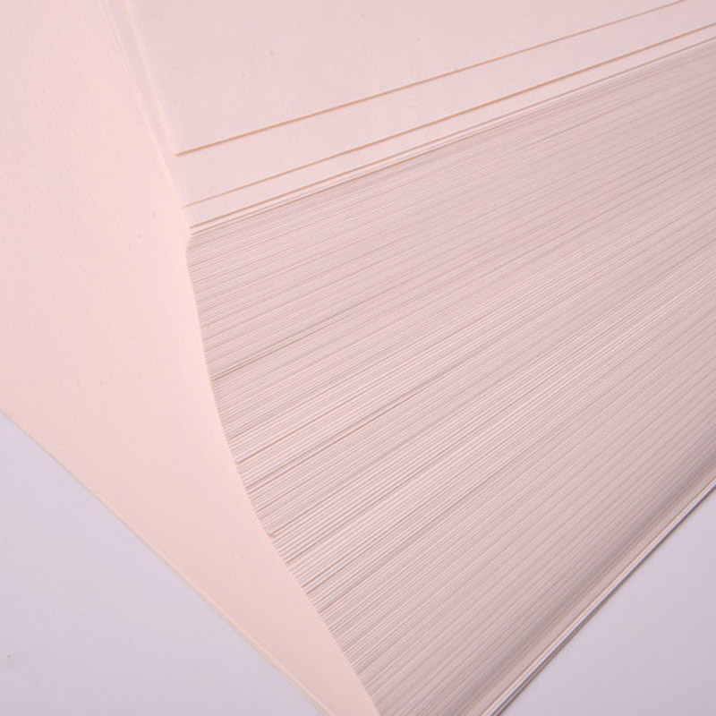 กระดาษพิมพ์คลีนรูมขนาด A4 สีสันสดใสจากโรงงาน
