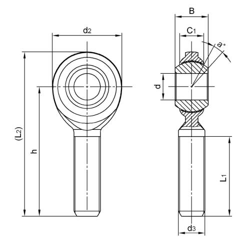 CM10T นิ้ว FISH EYE BEARING AMERICAN SIZE