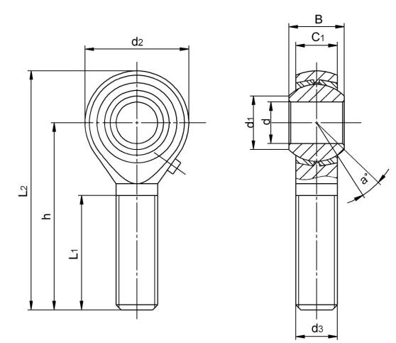 นิ้ว FISH EYE BEARING POSB10L